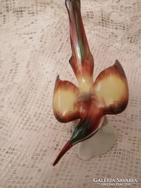 Aquincumi, hand painted honey bird