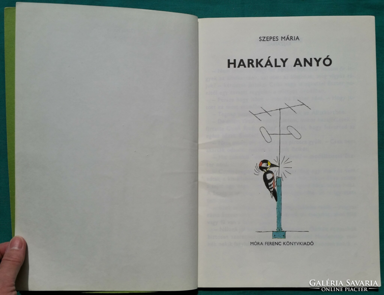 Szepes Mária: Pöttyös Panni - Harkály anyó - Grafikus: F. Győrffy Anna > Meseregény