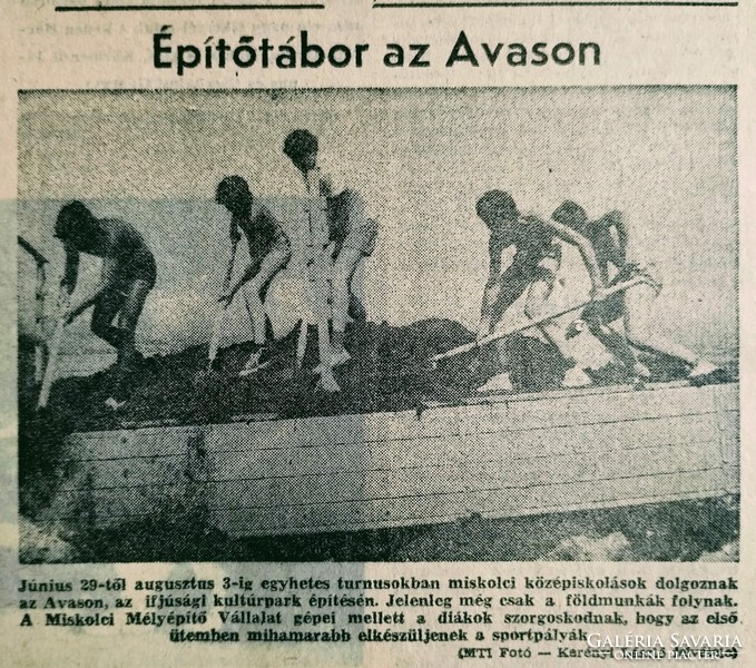 1974 May 10 / Hungarian newspaper / no.: 23173