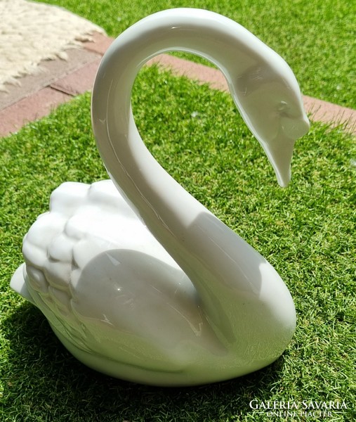 A large-sized swan from Hölóháza