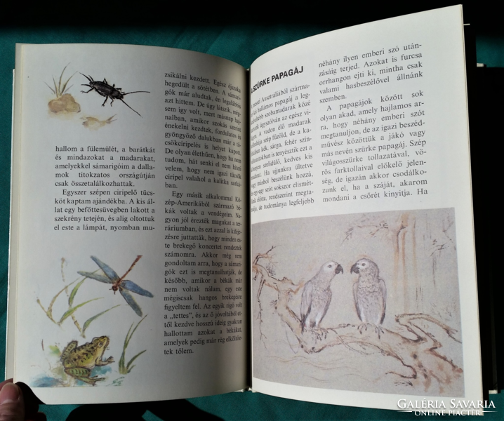 What the nature series tells - schmidt egon: decoy birds > animal world > birds
