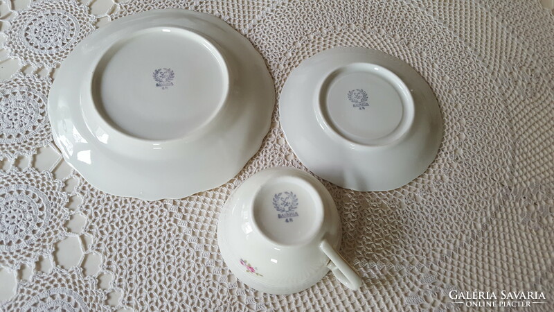 Beautiful pink Bavarian porcelain tea set