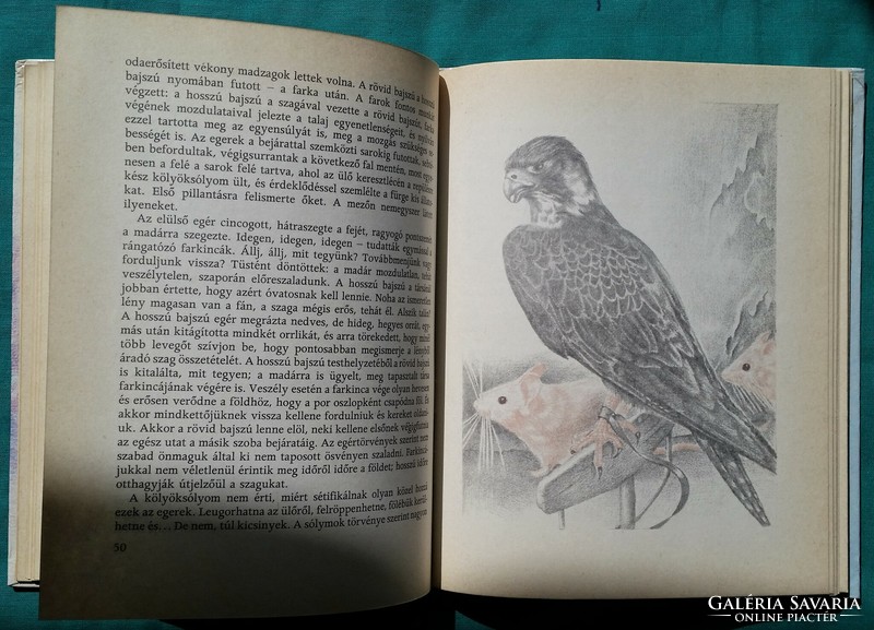 Musa Murataliyev: the story of a hunting falcon > children's and youth literature > animal story