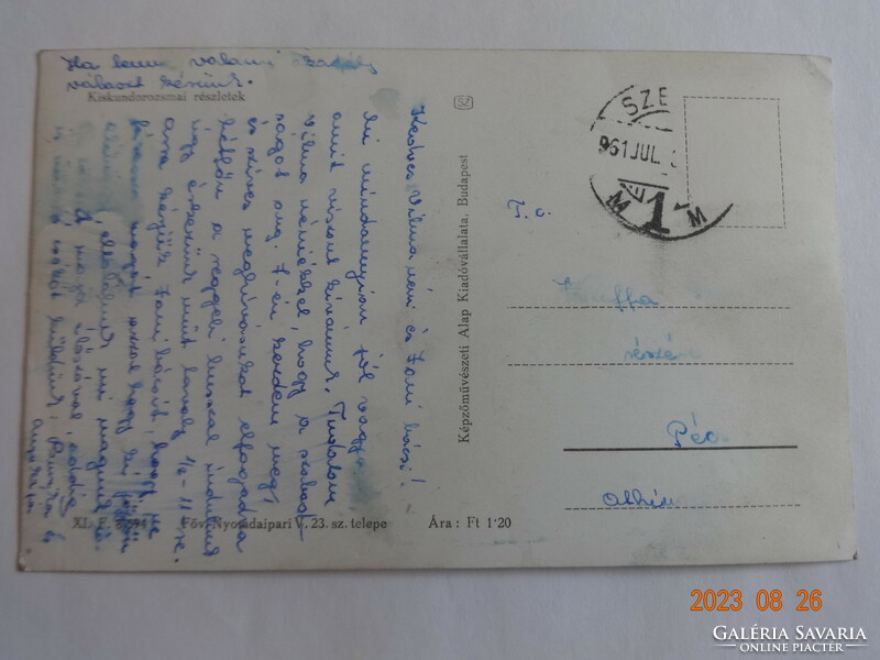 Old postcard: small lichen, details (1961)