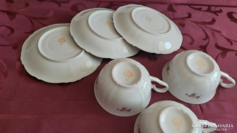 Roschütz porcelain tea set