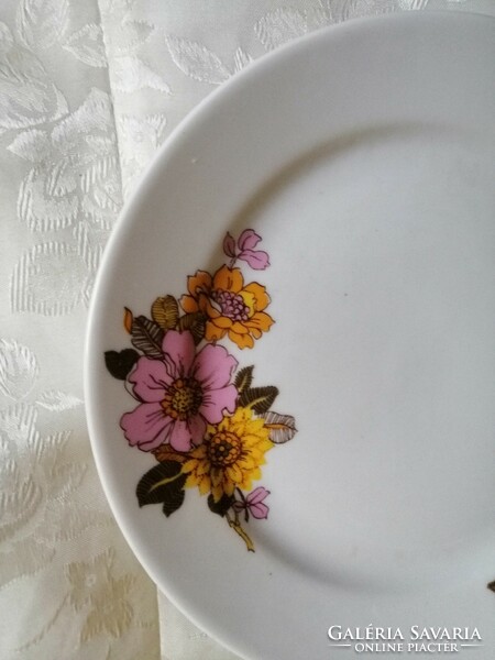 Alföldi plate is a beautiful dahlia