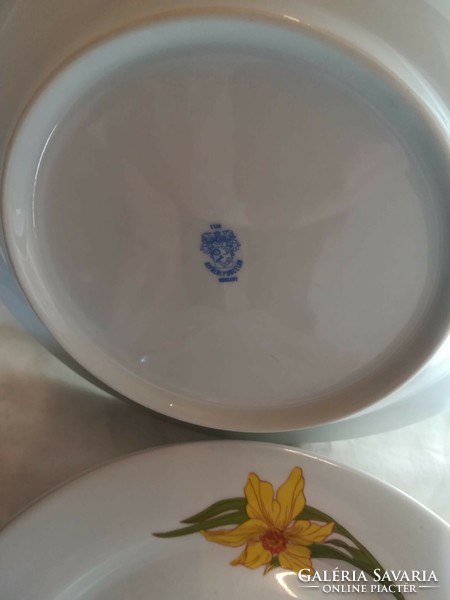 Alföldi porcelain flat and deep plate with yellow narcissus
