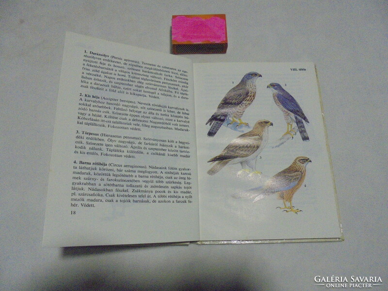 Diver pocket books: birds 2 - 1984
