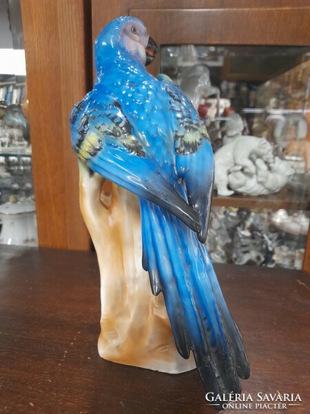 Very rare German, Germany conta & boehme poessneck /pößneck/ parrot, cockatoo porcelain figurine. 30 Cm.