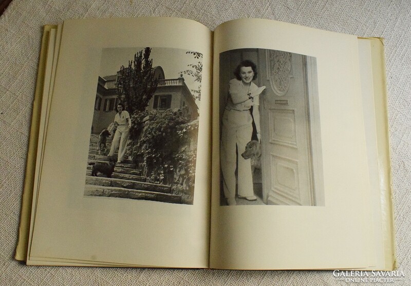 Bajor gizi, escher-vojda 1958 Budapest, seed book
