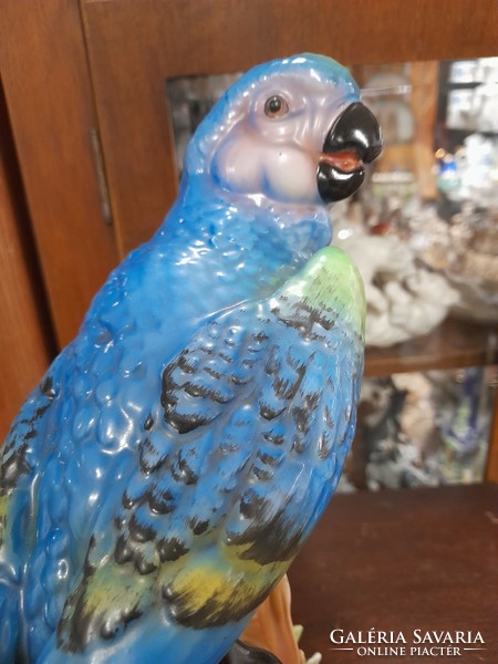 Very rare German, Germany conta & boehme poessneck /pößneck/ parrot, cockatoo porcelain figurine. 30 Cm.