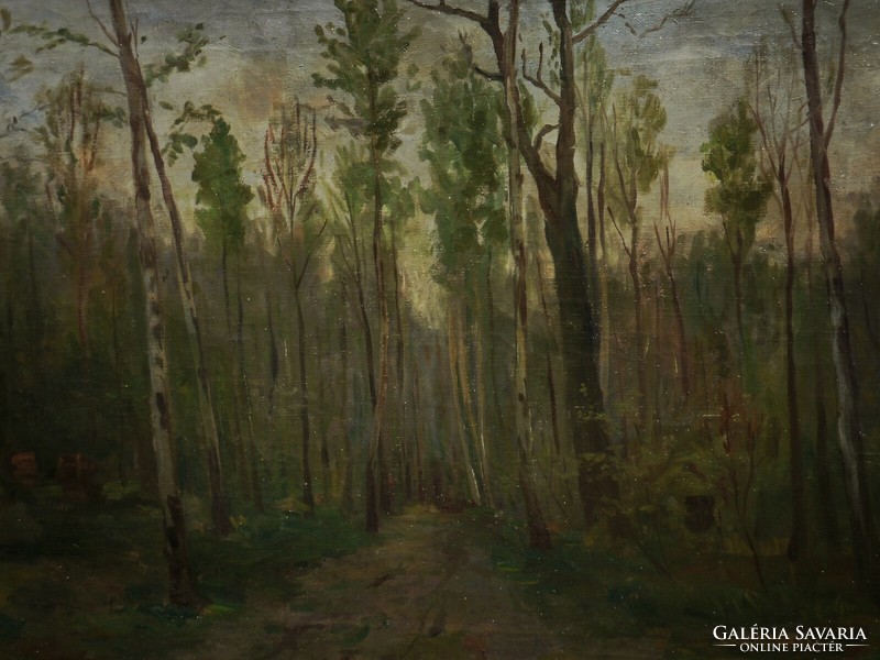 Anton denzel (1888-1962): forest road