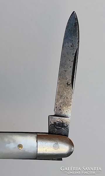 Miniature mother-of-pearl handle pocket knife