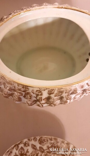 English porcelain teapot