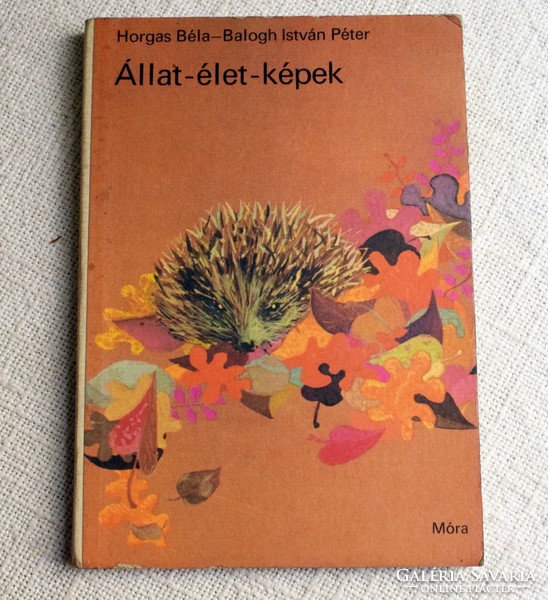Állat - élet - képek mesekönyv , Horgas Béla , Balogh István Péter Móra 1981