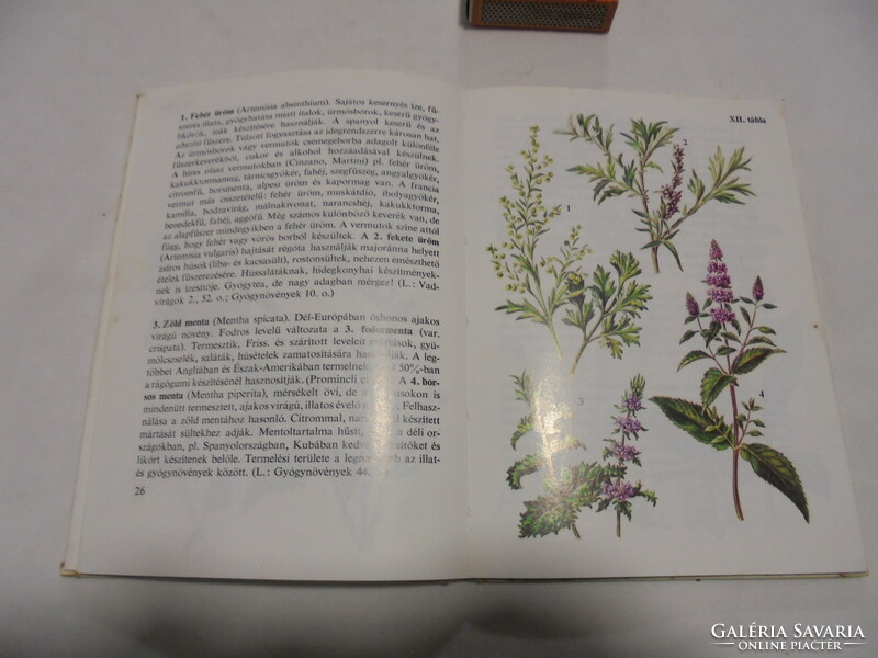 Diver's Pocket Books: Herbs 1980