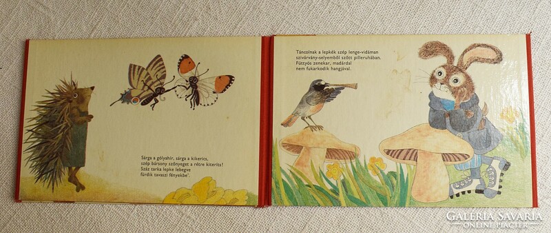 Male egg, male meadow storybook, Leporello, Tordon ákos, Erika Urai drawing Minerva 1982