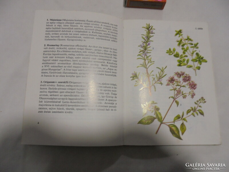 Búvár zsebkönyvek: Fűszernövények 1980