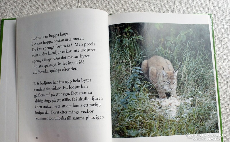 Lynx, natural science book, in Swedish, första fakta, lodjur, Katarina Kuick, 1994