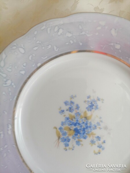 A forget-me-not plate is beautiful
