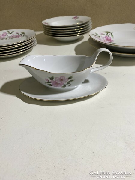 Czechoslovakia angelika vintage porcelain set. 4827