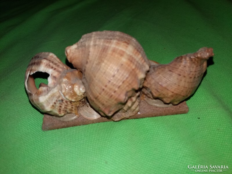 Antik kagylóból és csigából készült néhai ajándéktárgy asztali / polcdísz dísz a képek szerint