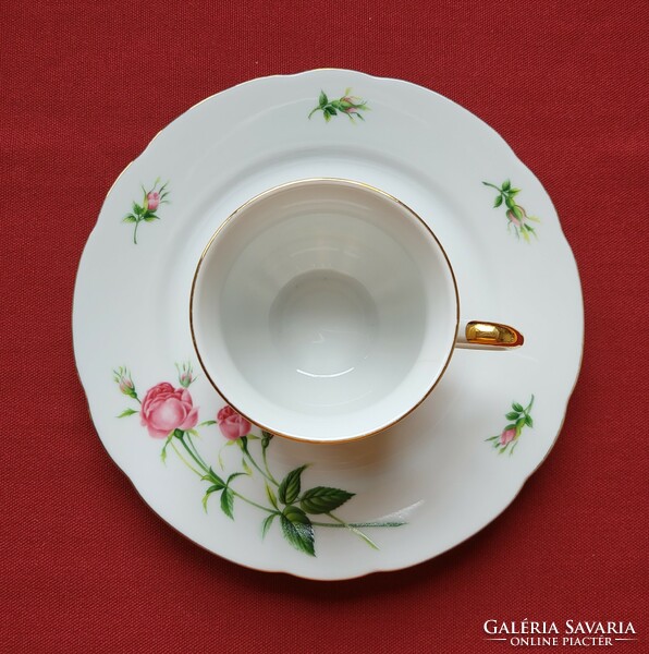 Christineholm rose German porcelain coffee tea breakfast set cup small plate plate with rose pattern