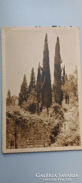 Old Italian postcard