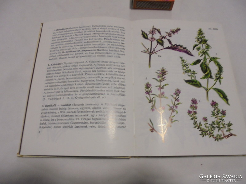 Búvár zsebkönyvek: Fűszernövények 1980