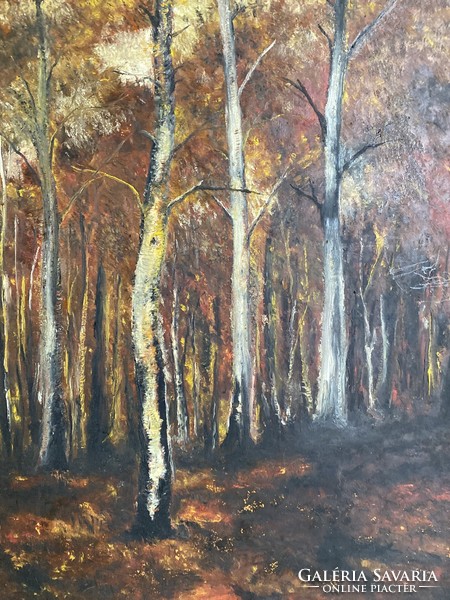 Unknown painter: the autumn blaze of nature