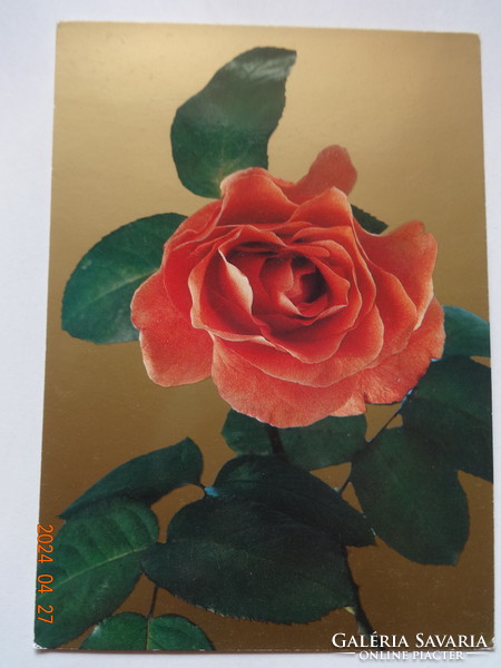 Old, retro greeting card, post clean - rose thread