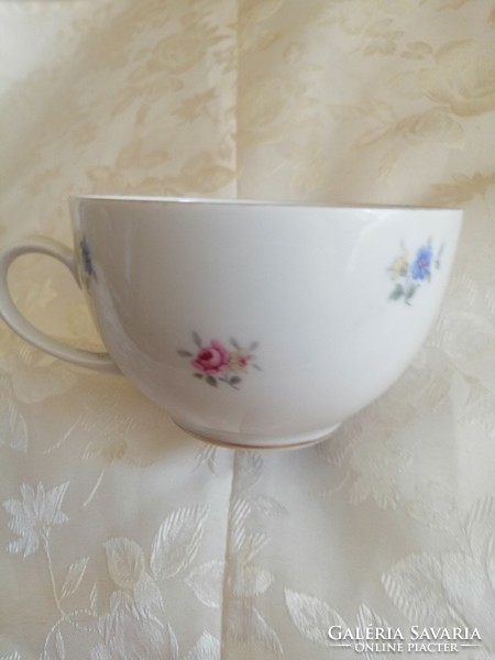 Bavaria collector's tea cup