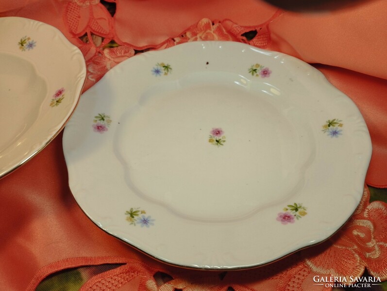 Pair of antique Zsolnay porcelain plates for replacement
