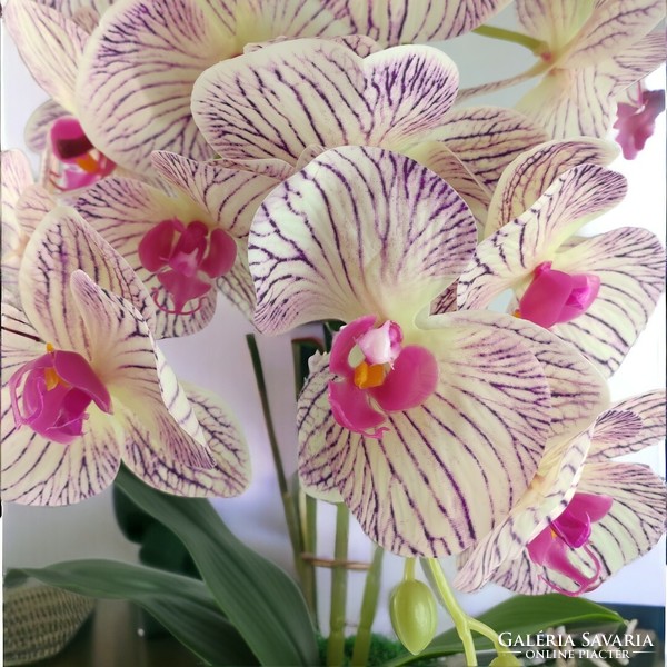 Kétszálas élethű lila és krémszínű cirmos orchidea kaspóban OR202KRLI