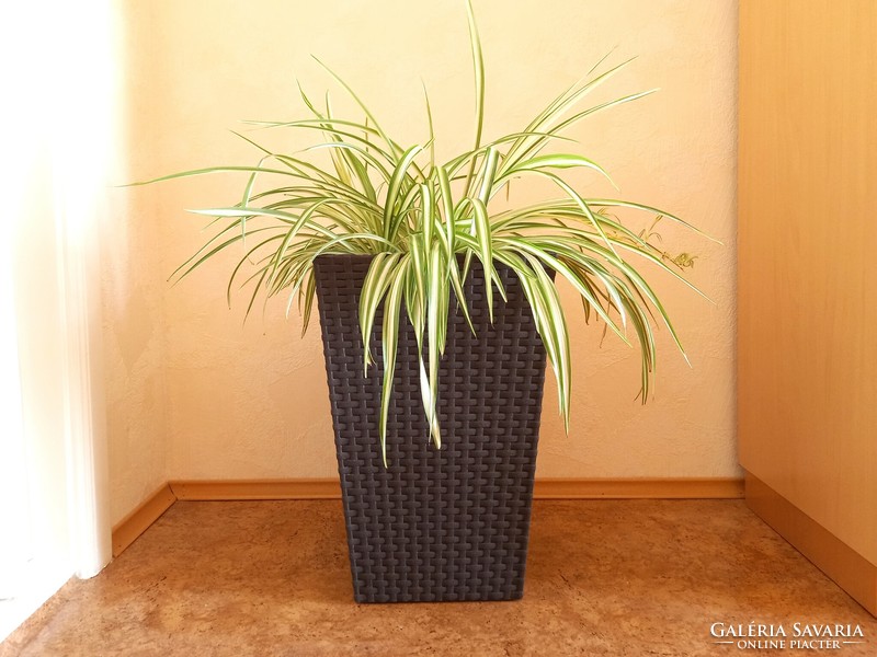 Keter plastic planter with rattan effect, vase, pot, pot, 42 cm high
