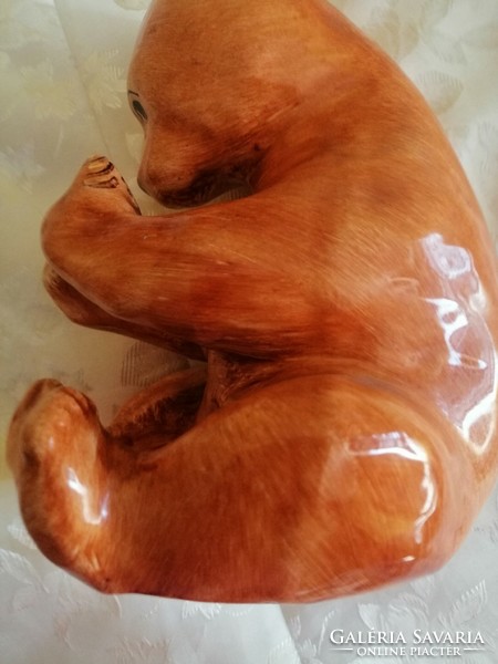 Bodrogkereszturi nagy barna maci gyönyörű
