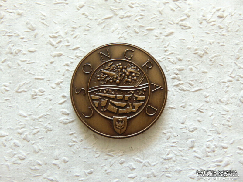 Szeged tourist commemorative medal diameter 42 mm weight 31.22 Grams