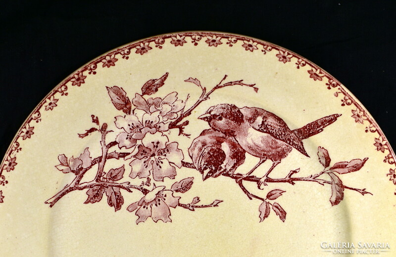 Sarreguemines antique faience plate with bird pattern