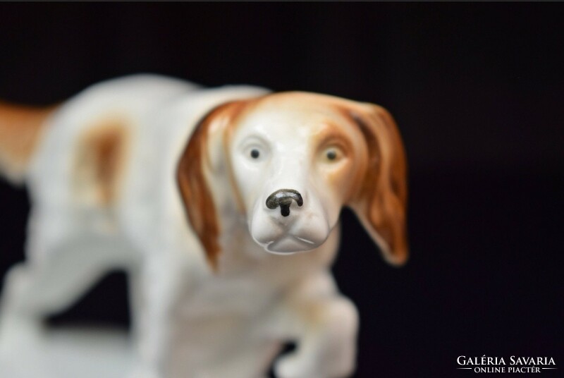 Old lippelsdorf porcelain dog / dog figure / retro old