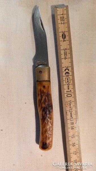 Old knife with bone handle, pocket knife
