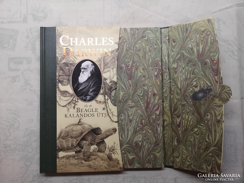 A. J. Wood - Charles Darwin és a Beagle kalandos útja