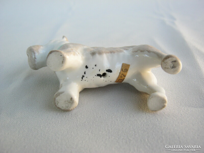 Aquincum porcelain terrier dog