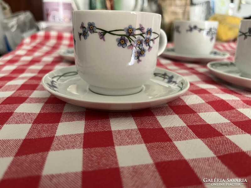 Alföldi porcelain coffee set with forget-me-not pattern