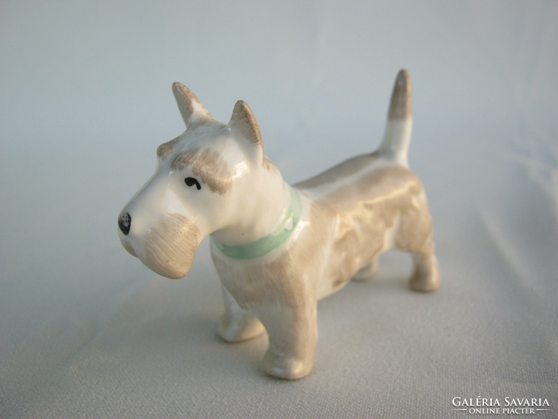 Aquincum porcelain terrier dog