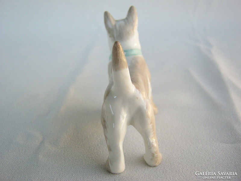 Aquincumi porcelán terrier kutya