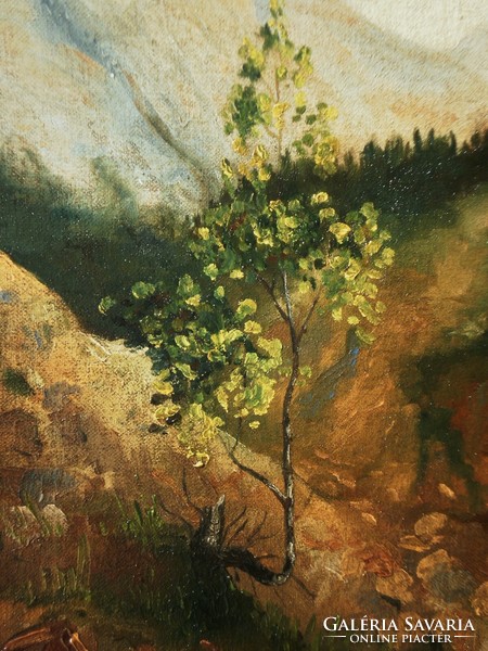 Jenő Spiš from Spiš (1885-1948): tree in the Tatras