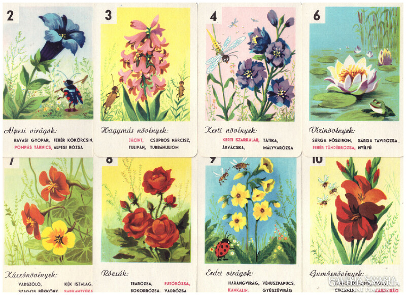 Hiánytalan mezei virágok kvartett Játékkártyagyár 1970 virág