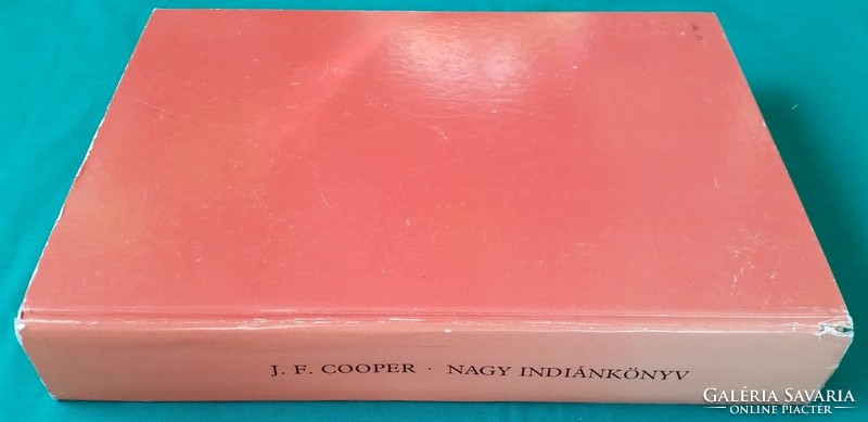 J.F. Cooper - great Indian book - children's and youth literature / novels