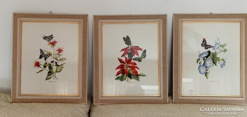 3 Modern watercolors, glazed, in a showy frame, 40 x 33 cm
