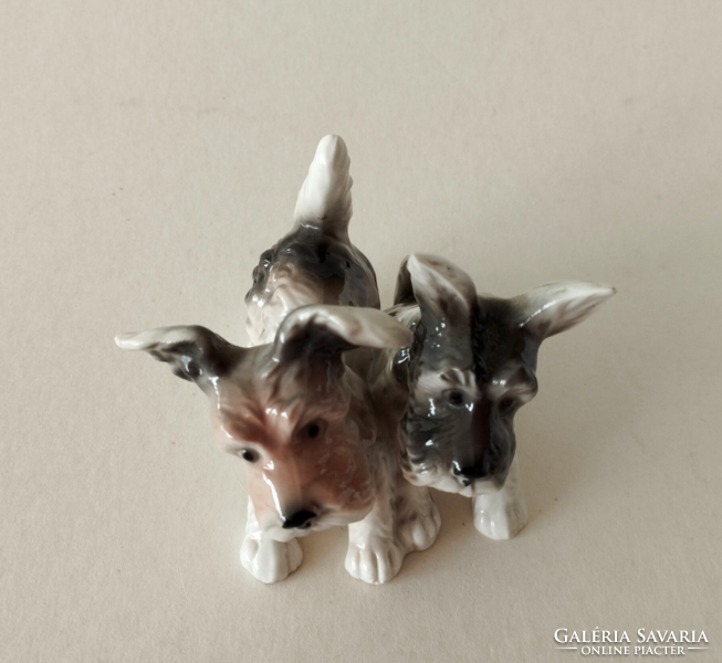 Old unterweissbach porcelain Scottish terriers, figurines, statue, nipp, showcase decoration